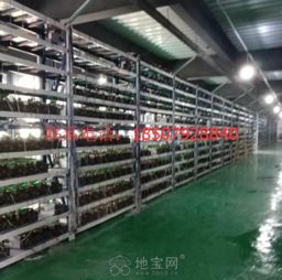 鑫威矿机b3 12t